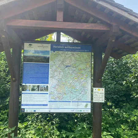 Sonnenschein * Baden-Baden