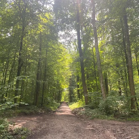 Sonnenschein Apartmán