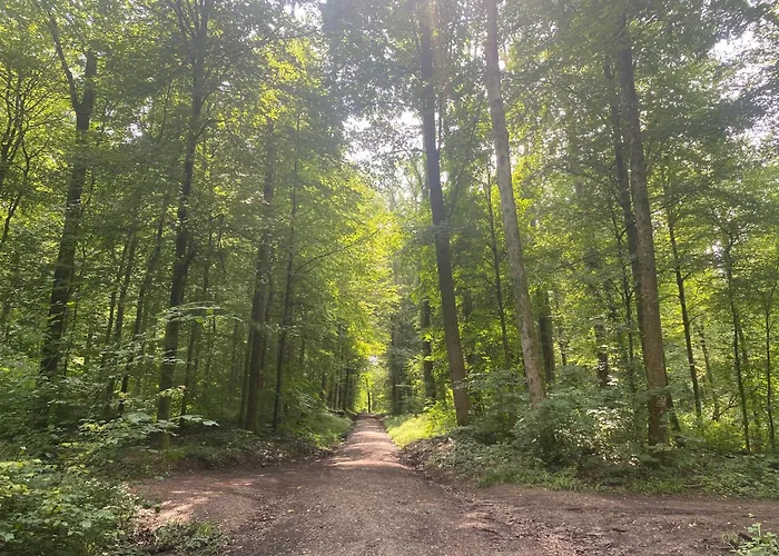 Sonnenschein Appartement